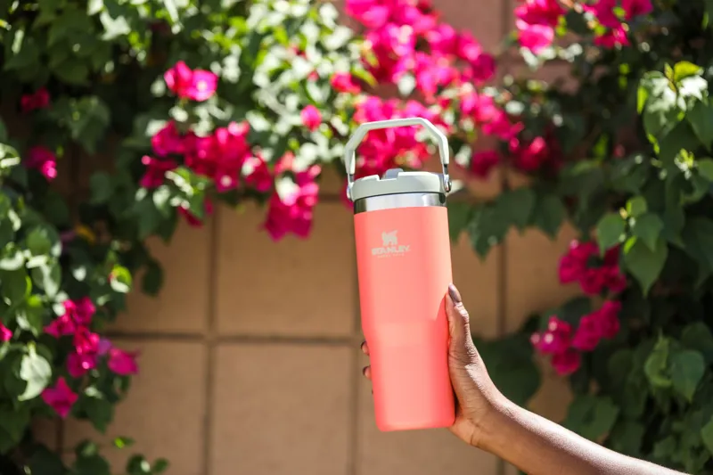 Stanley Classic Iceflow Flip Straw Tumbler 0.89L Guava-2